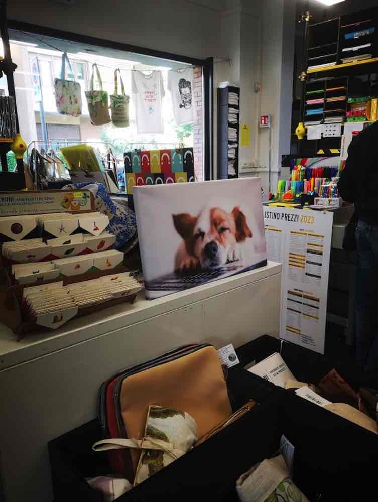interni cartoleria 