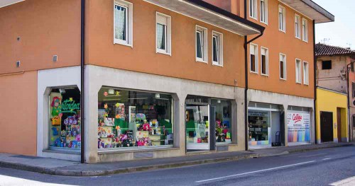 Cartoleria Cartoidea